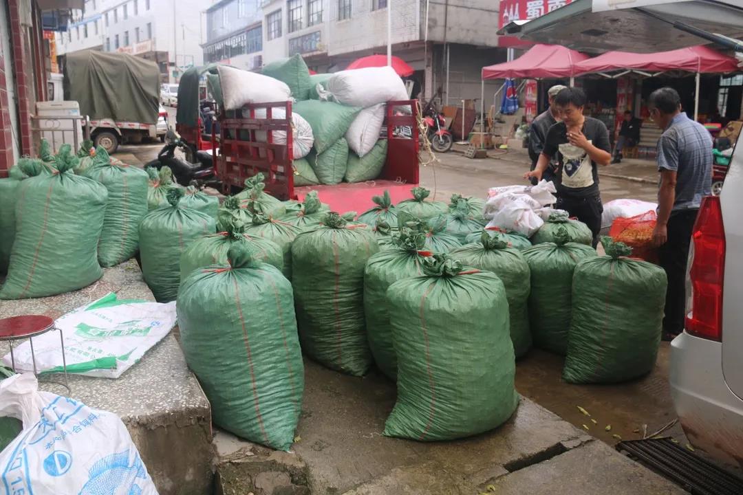 微信图片_20200711160306.jpg
