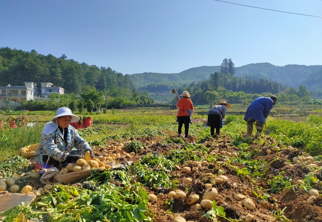 QQ截图20200824221223.png QQ截图20200824221223.png