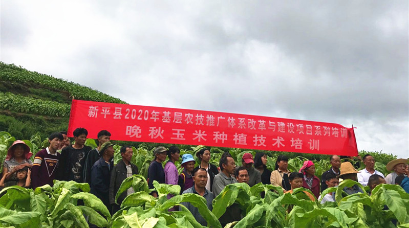 图片1.png