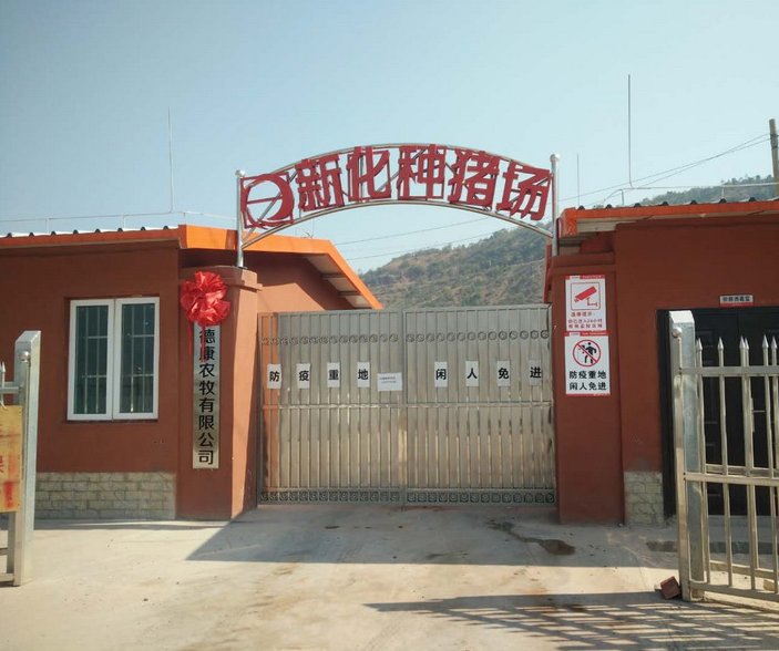 4_WPS图片.png