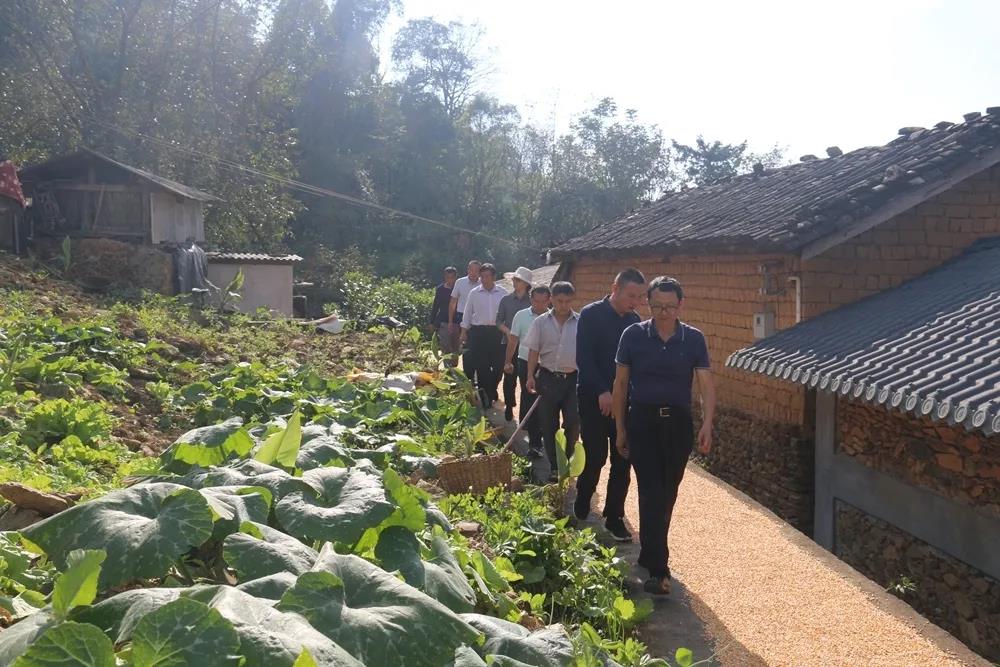 微信图片_20201102092022.jpg 微信图片_20201102092022.jpg