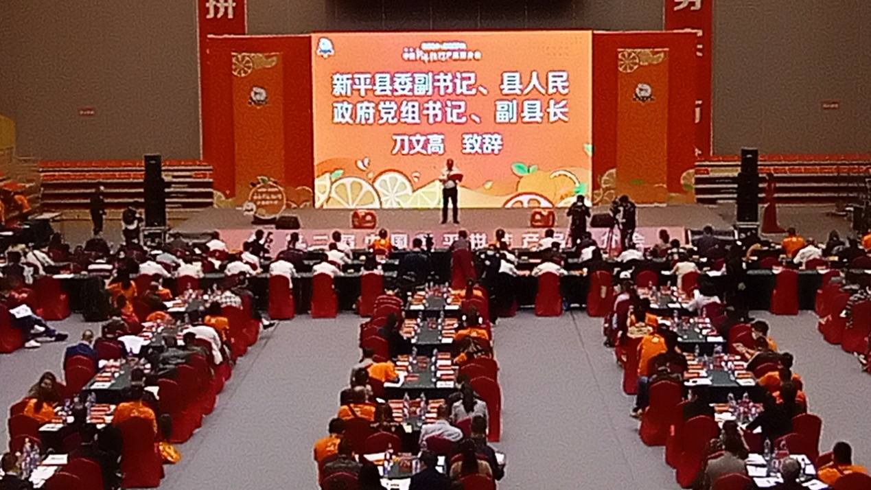 文旅13301.jpg