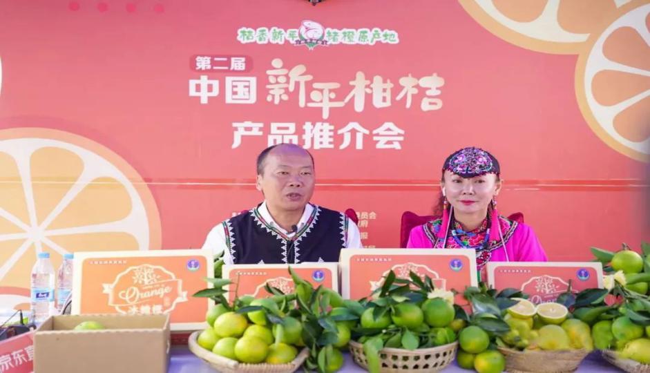 文旅13804.jpg