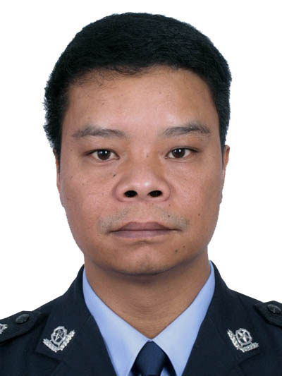 杨树.jpg