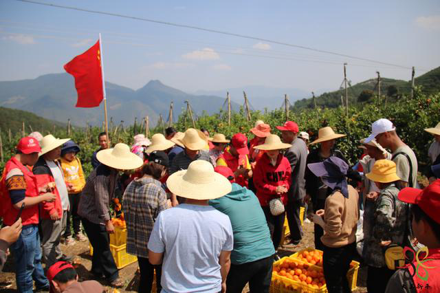 图片2.png