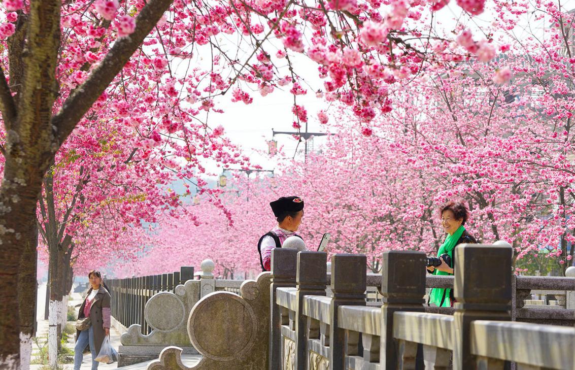 文旅03901.jpg