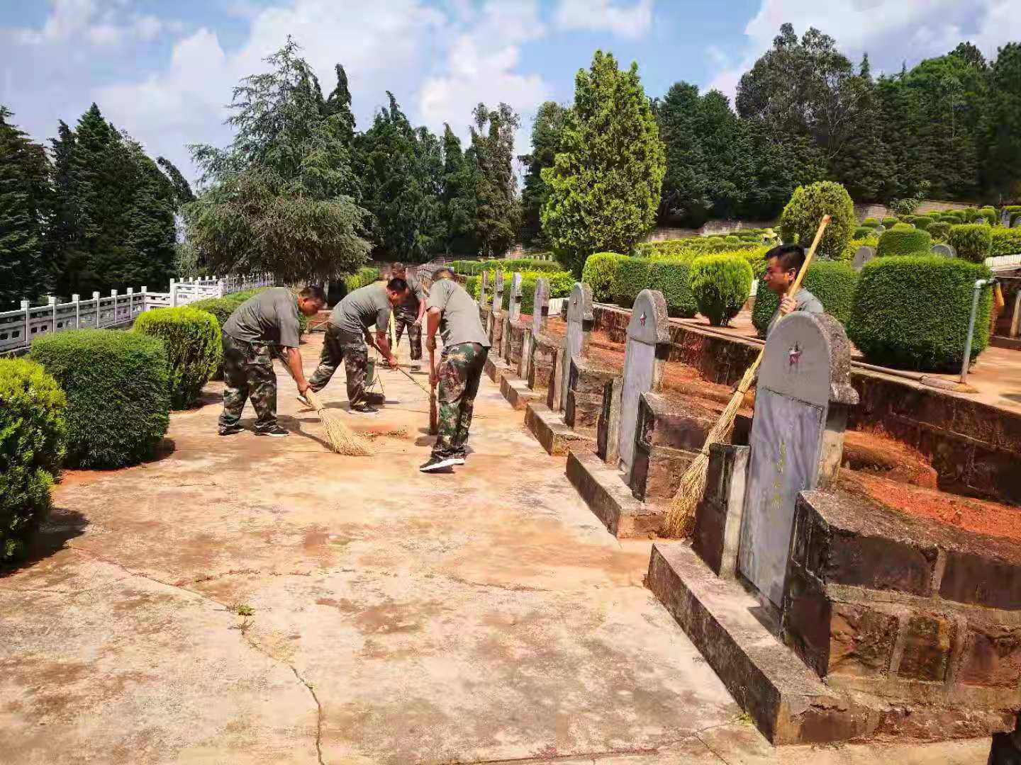 图片1.png 图片1.png