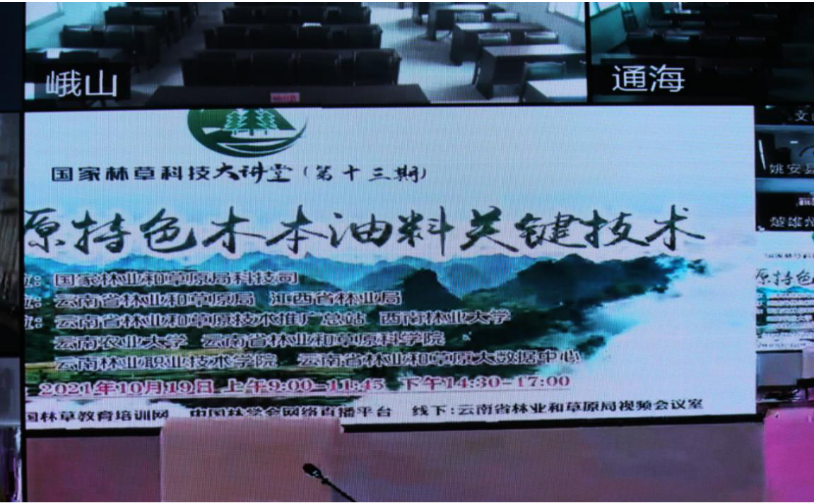 图片11.png