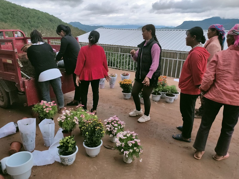 3B628CF2AB4FAA1CDC4421CEAD6ACEC0.jpg 3B628CF2AB4FAA1CDC4421CEAD6ACEC0.jpg