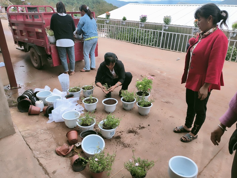 6B22C9CEA5AF8B4C92D06D51A99C8287.jpg 6B22C9CEA5AF8B4C92D06D51A99C8287.jpg