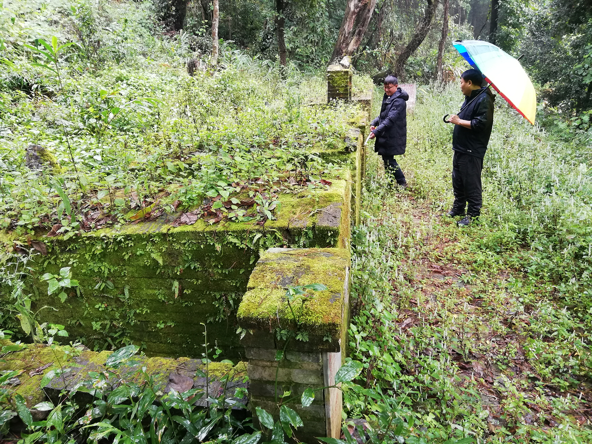 修善1.png 修善1.png