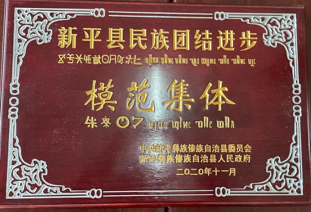 11.jpg 11.jpg