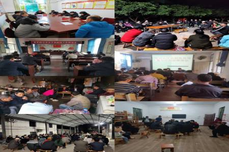 图片8 (1).jpg 图片8 (1).jpg