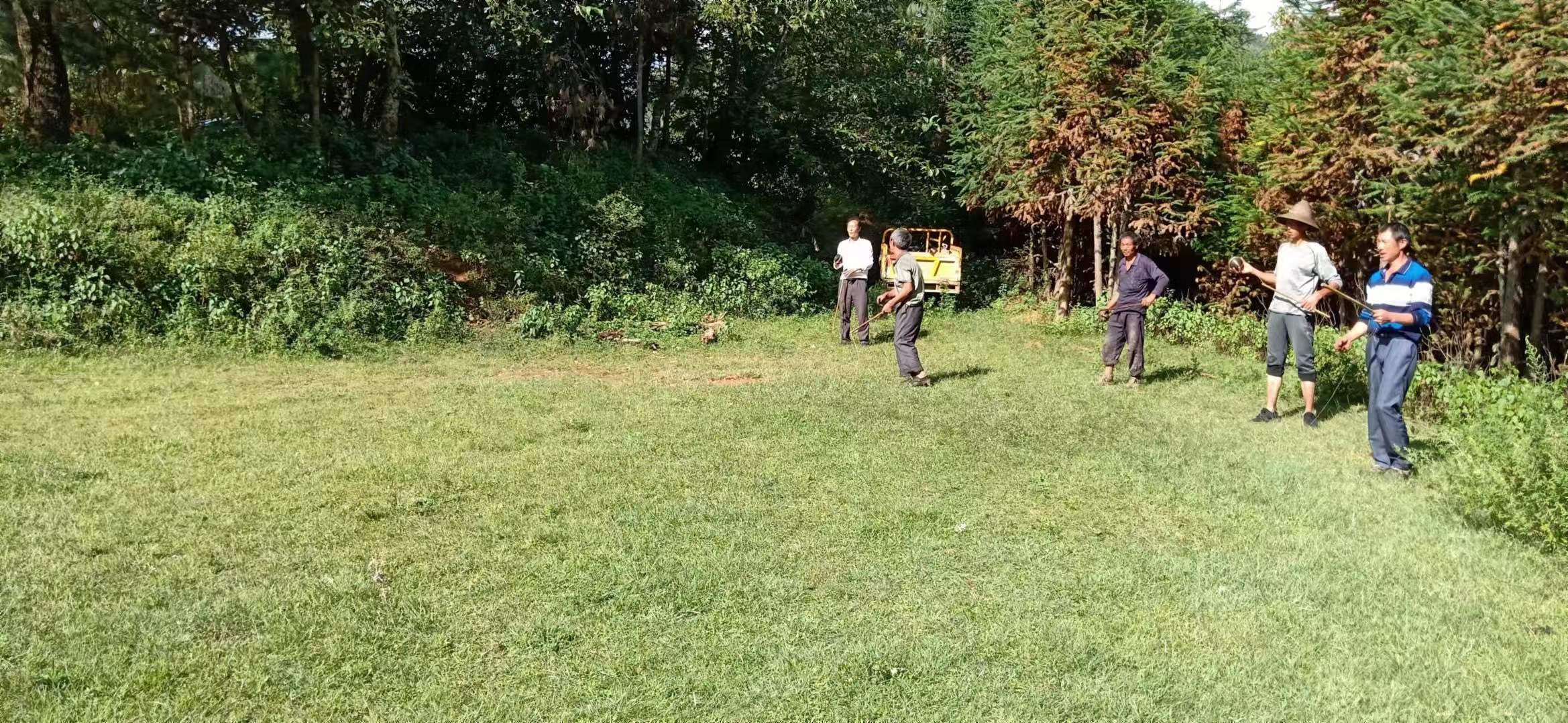 3.jpg 3.jpg