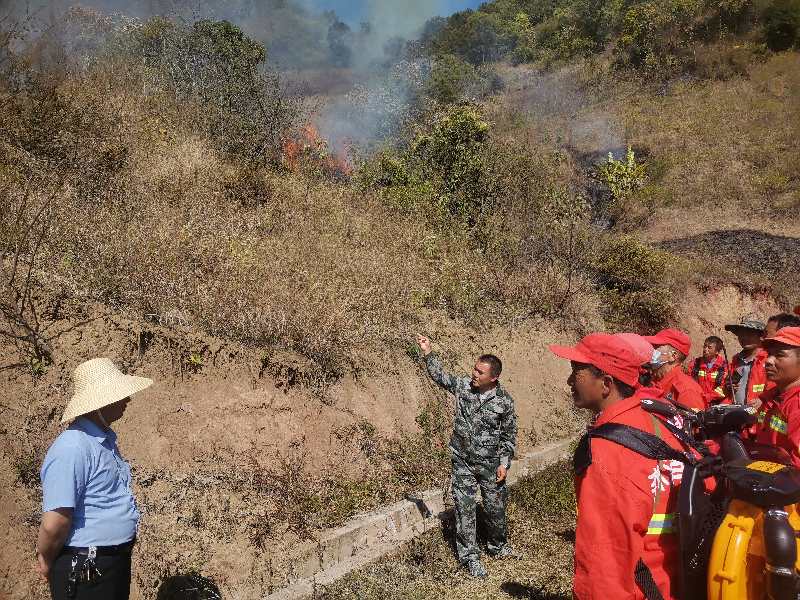 41A194B2D1257DB549B6C53D9A71C6DE.png 41A194B2D1257DB549B6C53D9A71C6DE.png