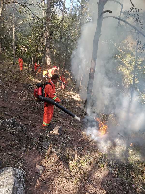 3465270058751C1644ED8ACCB9FF22FD.png 3465270058751C1644ED8ACCB9FF22FD.png