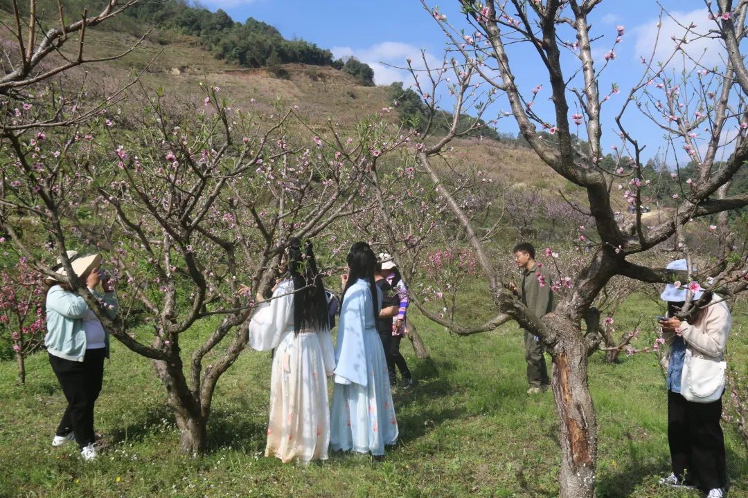 建兴：桃花朵朵待客来！9.jpg