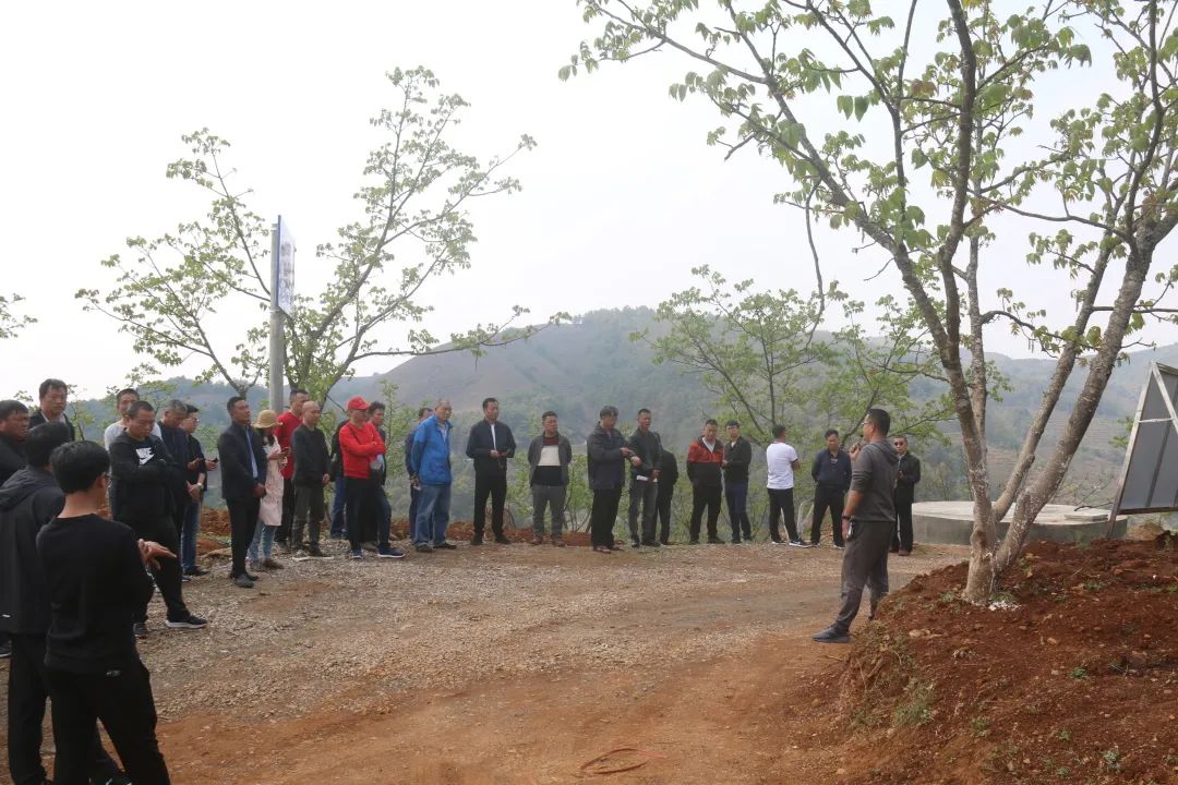 建兴乡迎接市级核桃林下种植天门冬现场观摩团活动3.jpg 建兴乡迎接市级核桃林下种植天门冬现场观摩团活动3.jpg