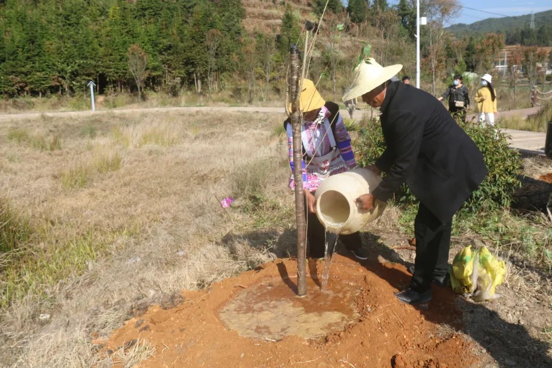 建兴:义务植树添新绿 樱花小镇亮新颜3.jpg 建兴:义务植树添新绿 樱花小镇亮新颜3.jpg