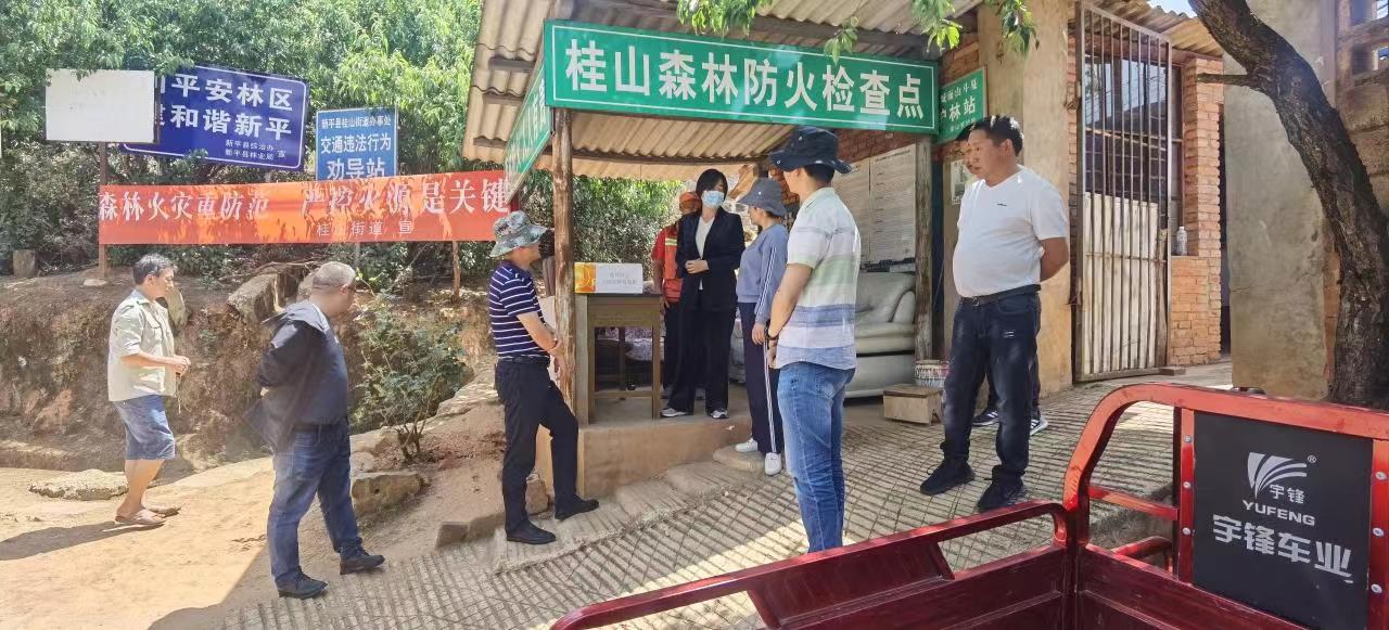 林长制巡林1.jpg
