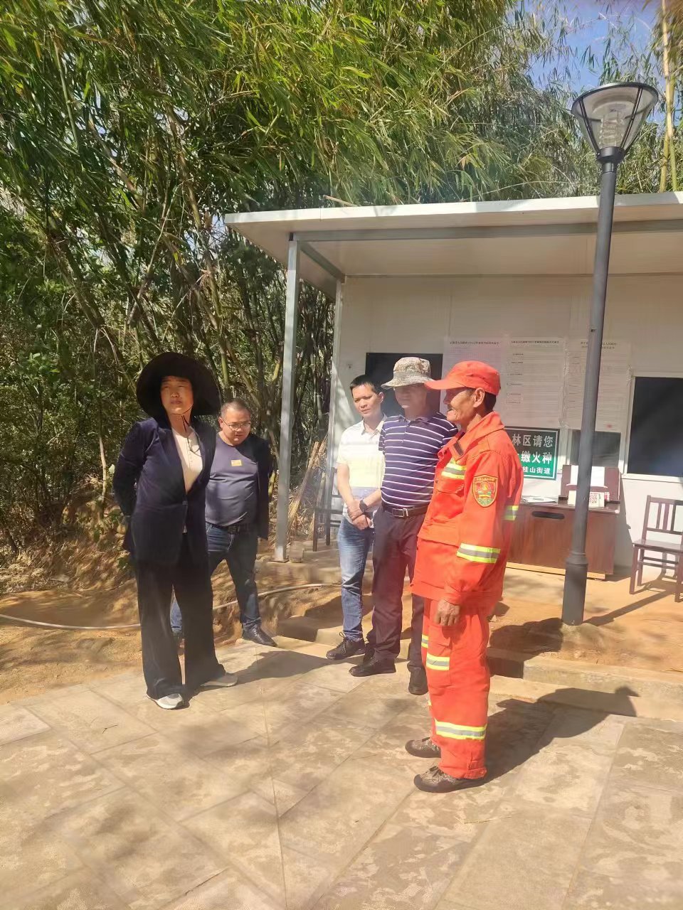 林长制巡林2.jpg