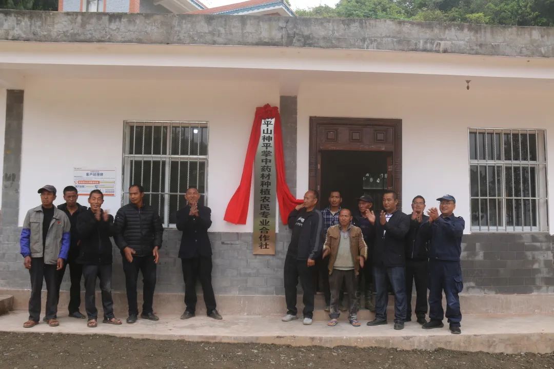 建兴:支部领办合作社 “定制化”中药材种植促农增收3.jpg 建兴:支部领办合作社 “定制化”中药材种植促农增收3.jpg