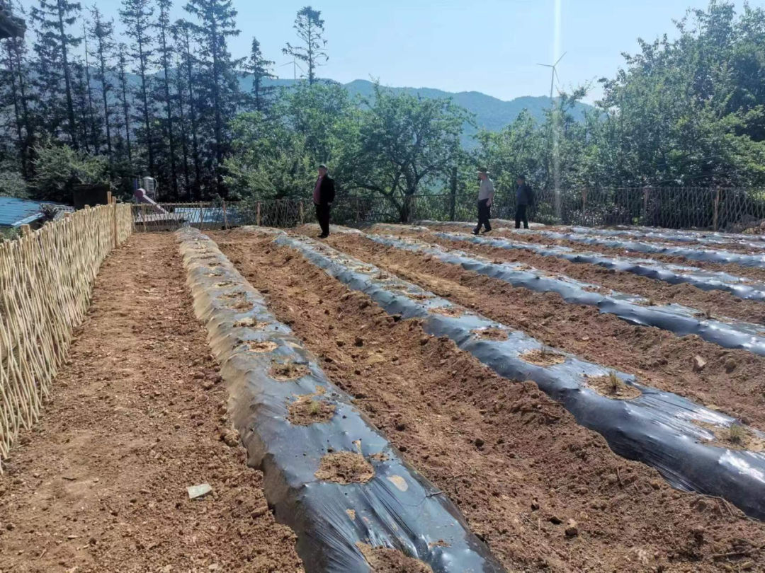 建兴帽盒：党建引领安心拆除 土地盘活利用见实效6.jpg