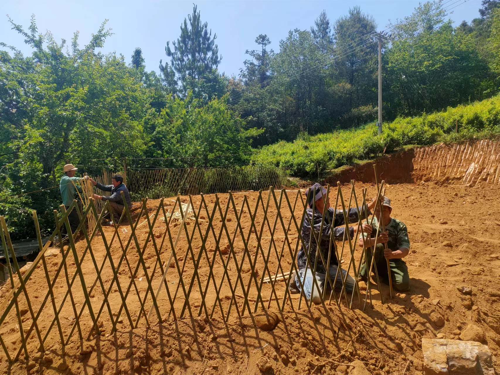 建兴:“拆改用”笔酣墨饱 绘好安心拆除“诗和远方”5.jpg 建兴:“拆改用”笔酣墨饱 绘好安心拆除“诗和远方”5.jpg