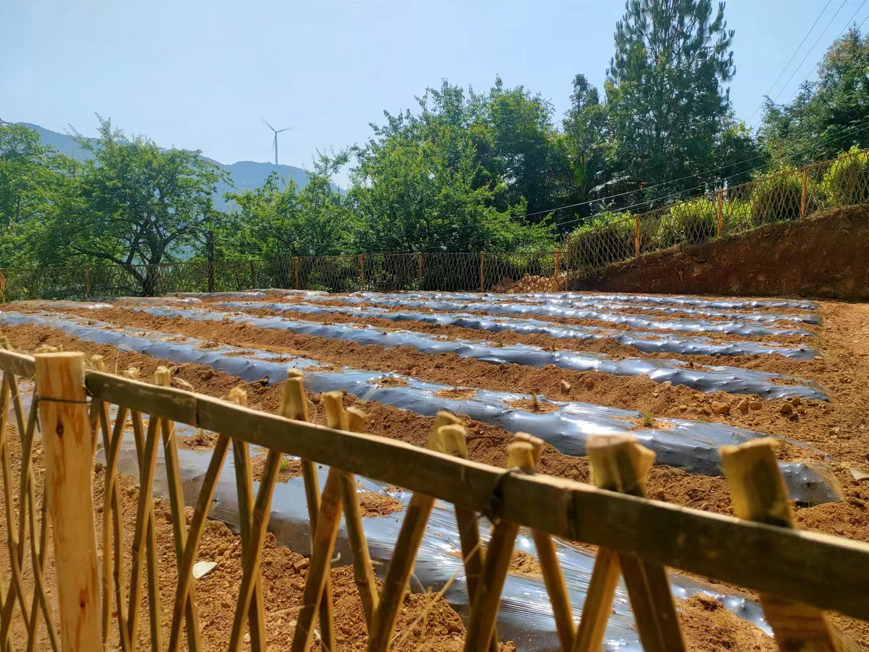 建兴:“拆改用”笔酣墨饱 绘好安心拆除“诗和远方”6.jpg 建兴:“拆改用”笔酣墨饱 绘好安心拆除“诗和远方”6.jpg