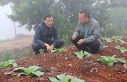 QQ截图20220524162614.png QQ截图20220524162614.png