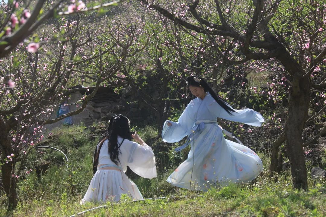 建兴:一棵桃树,“桃”您欢心!7.jpg 建兴:一棵桃树,“桃”您欢心!7.jpg