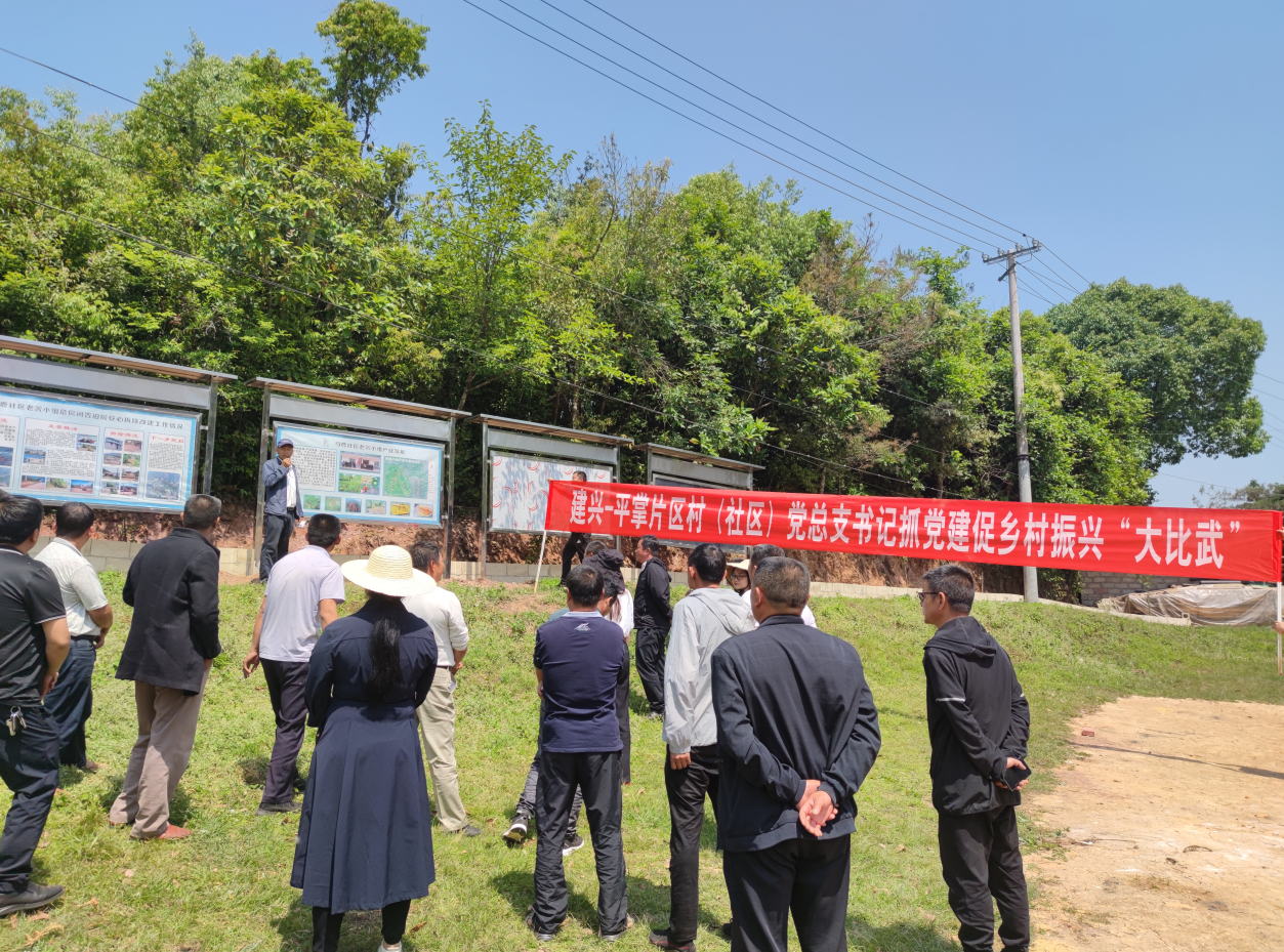 建兴平掌大比武3.png 建兴平掌大比武3.png