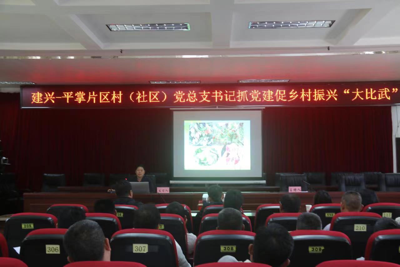 建兴平掌大比武5.jpg 建兴平掌大比武5.jpg