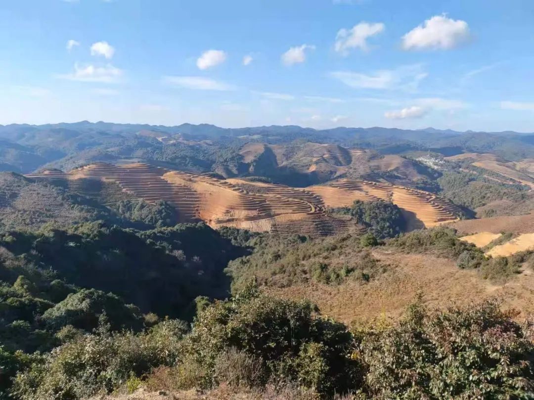 建兴乡磨味村:做活土地文章 助推乡村振兴3.jpg 建兴乡磨味村:做活土地文章 助推乡村振兴3.jpg