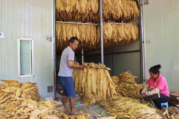 图片1.jpg 图片1.jpg