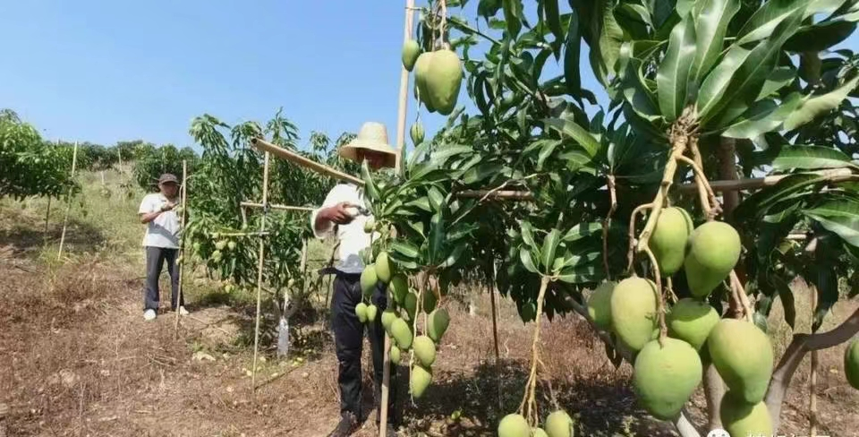 考察学习广开思路 “四级联创”谋新求变3.png 考察学习广开思路 “四级联创”谋新求变3.png