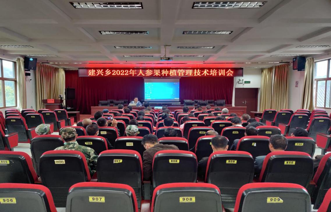 建兴乡召开2022年人参果种植管理技术培训会1.png