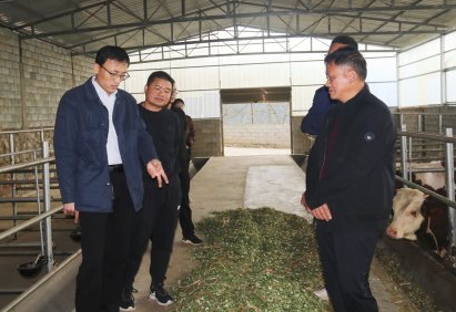 QQ截图20221117105051.png QQ截图20221117105051.png