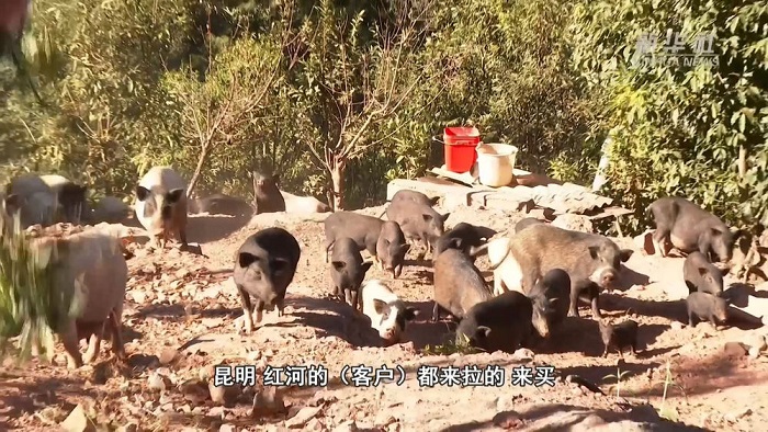 微信图片_20221212160149 - 副本.jpg