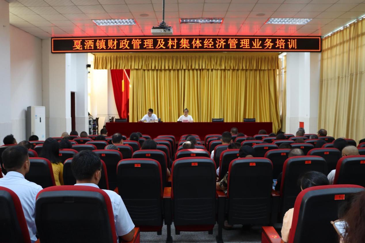 戛洒镇开展预算绩效管理暨村集体经济管理业务培训.jpg