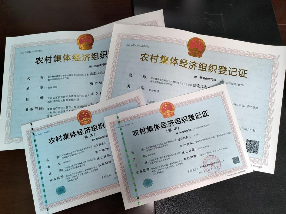 古城街道:壮大集体经济 促进成员增收1.png 古城街道:壮大集体经济 促进成员增收1.png