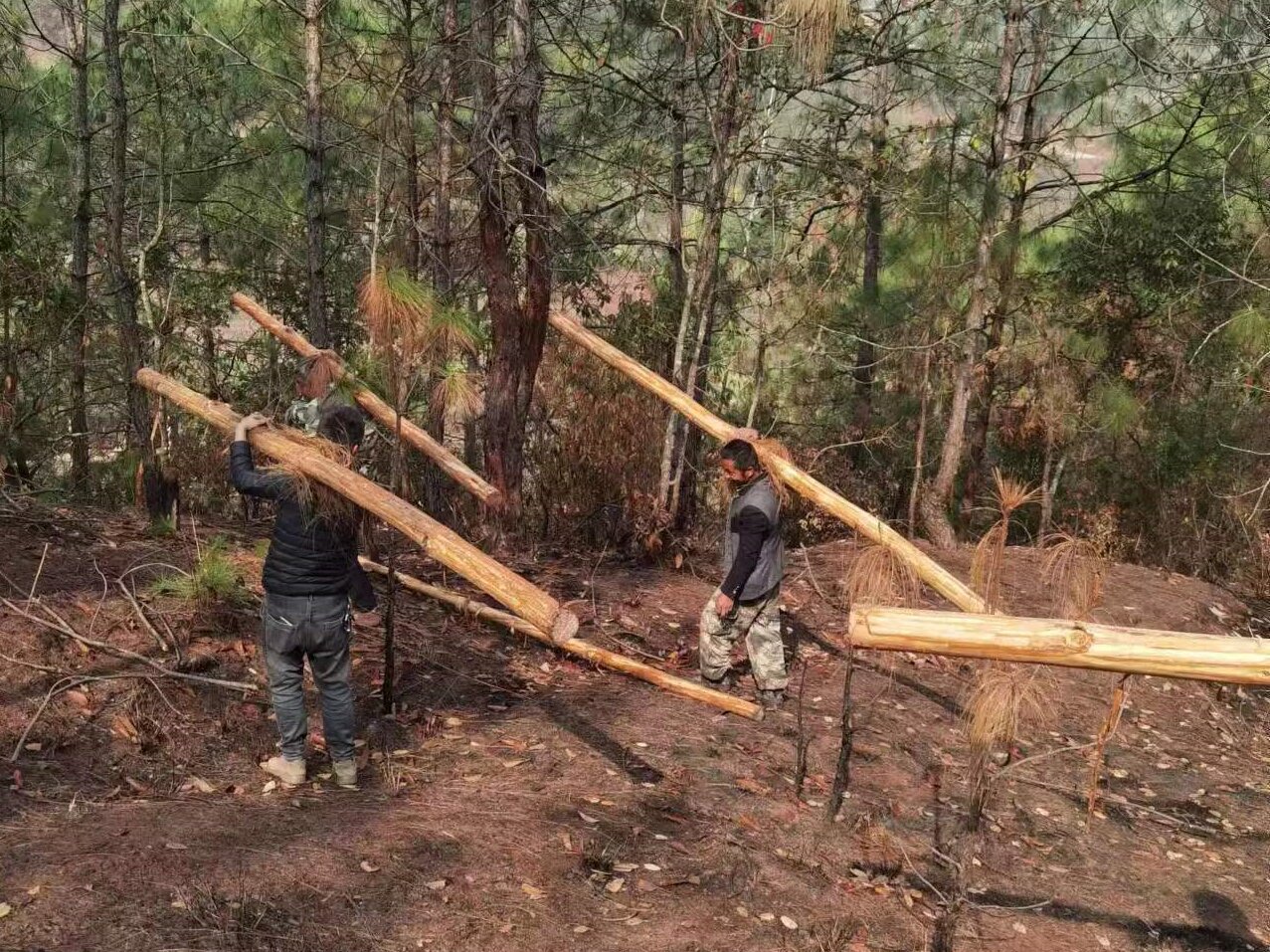以林长制为抓手，严管森林生态安全1.jpg