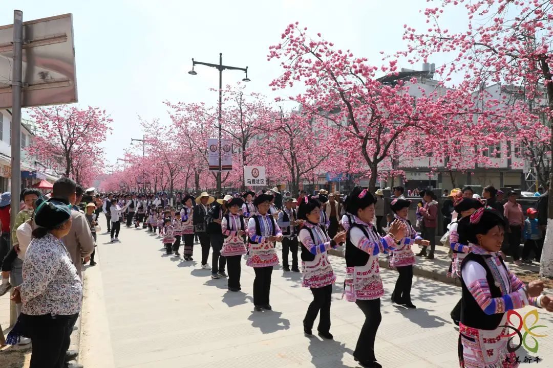 新平文旅02602.jpg