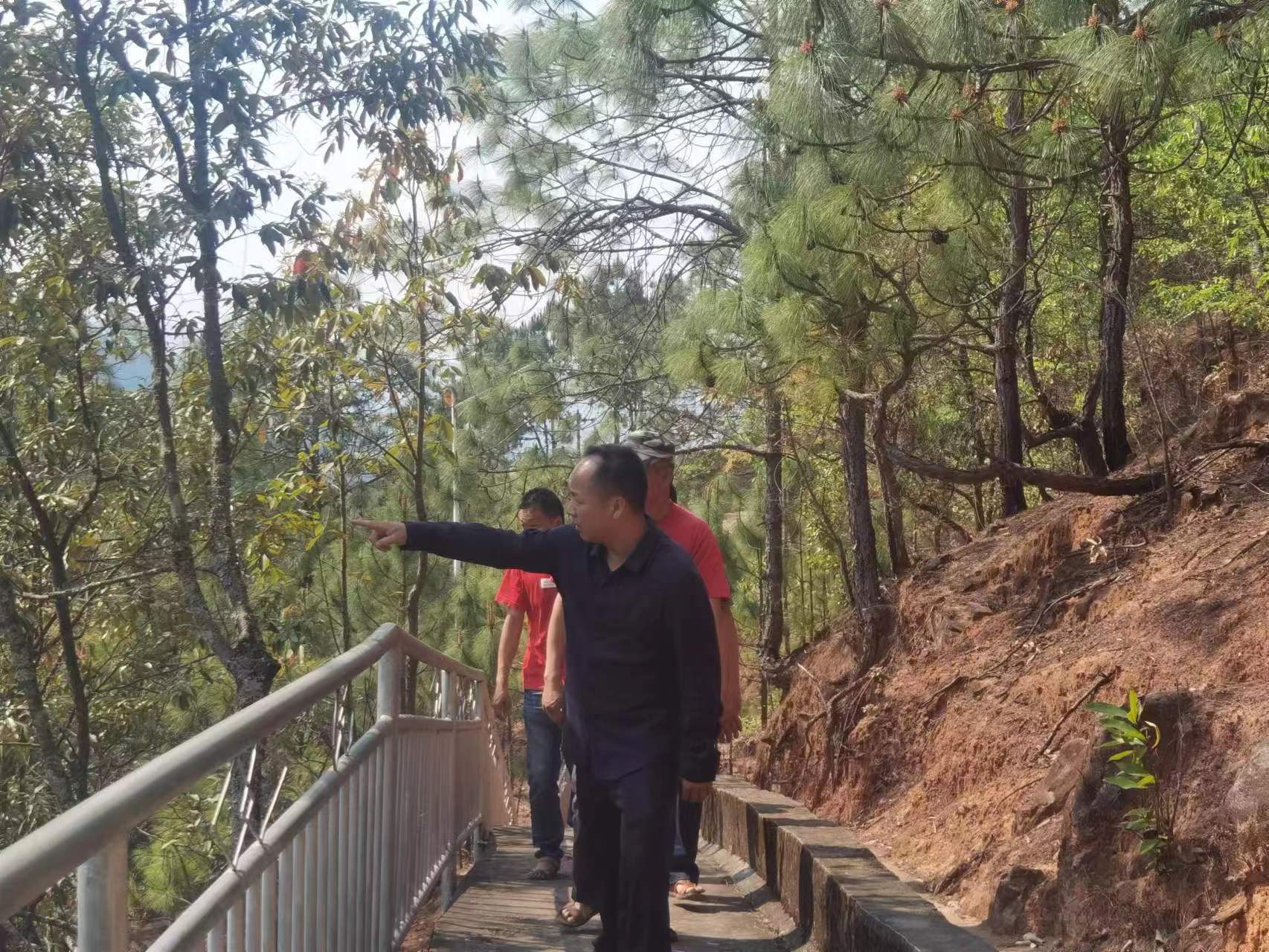 县级林长巡林 守护绿水青山2.jpg 县级林长巡林 守护绿水青山2.jpg