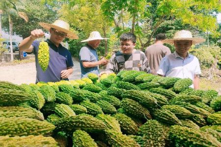 民族团结3.jpg 民族团结3.jpg