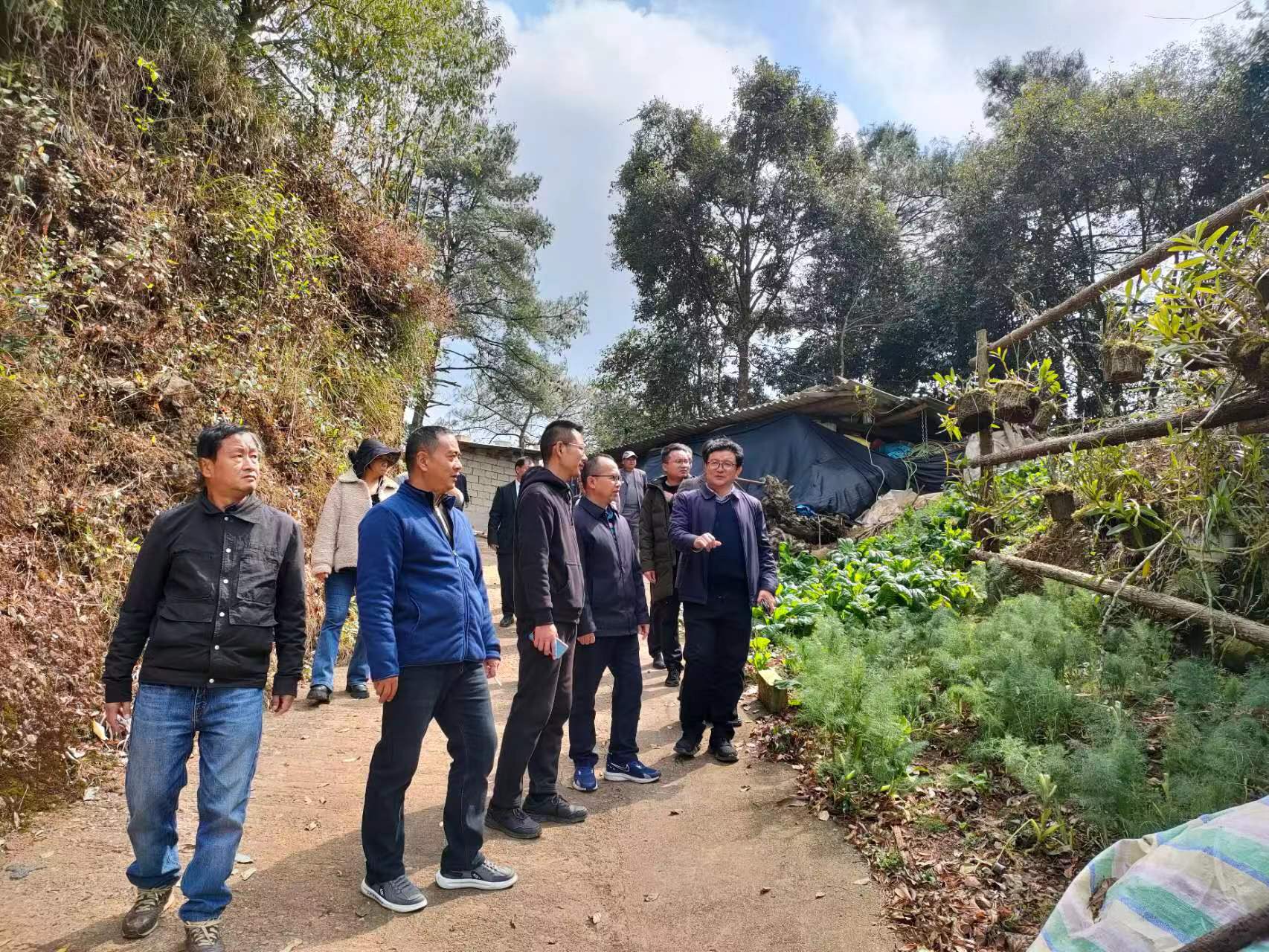 县人大常委会领导到建兴乡调研指导工作3.jpg 县人大常委会领导到建兴乡调研指导工作3.jpg