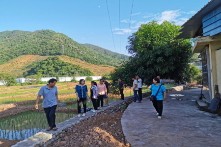 党建引领1.jpg 党建引领1.jpg