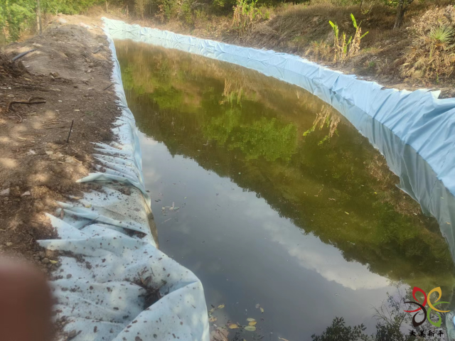 图片4.png 图片4.png