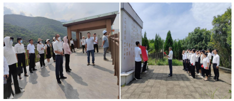 新平文旅06704.png