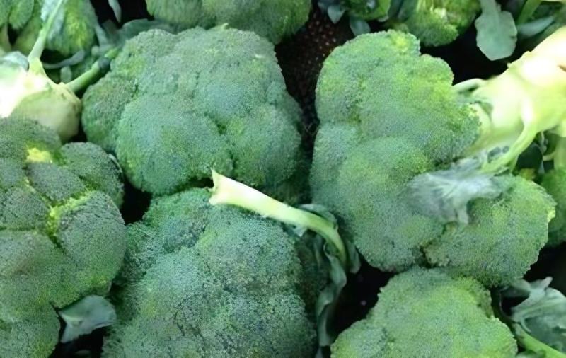 1610035986801641.jpg 1610035986801641.jpg